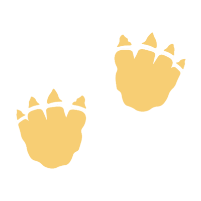 Stopa dinosaura III.